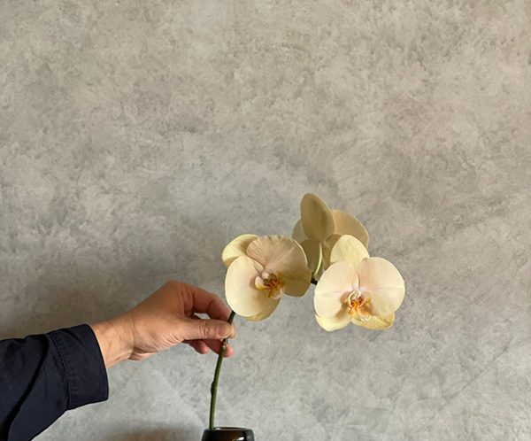 【インテリアと花】